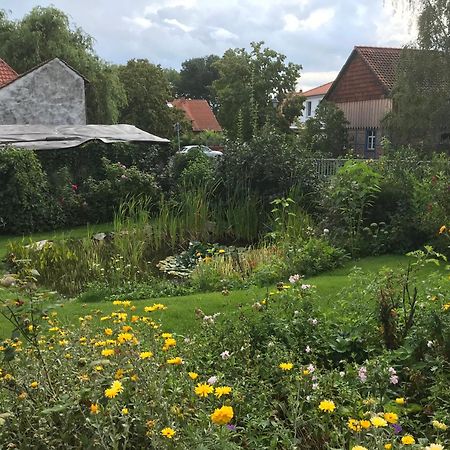 Schoene Gemuetliche Ferienwohnung Mit Kamin I Im Harz Darlingerode Exterior foto