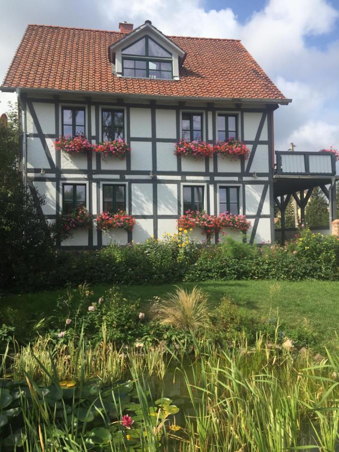 Schoene Gemuetliche Ferienwohnung Mit Kamin I Im Harz Darlingerode Exterior foto