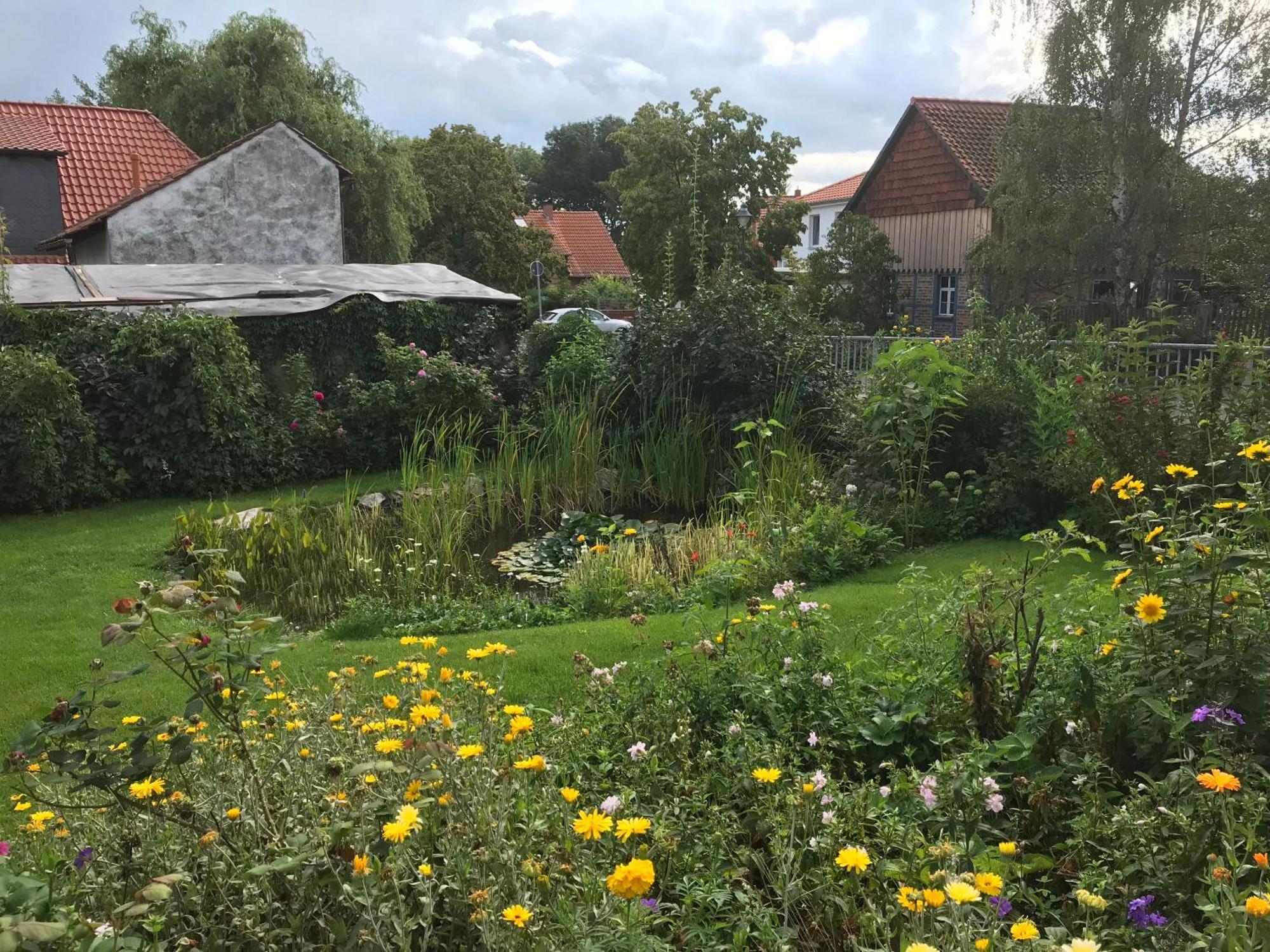 Schoene Gemuetliche Ferienwohnung Mit Kamin I Im Harz Darlingerode Exterior foto